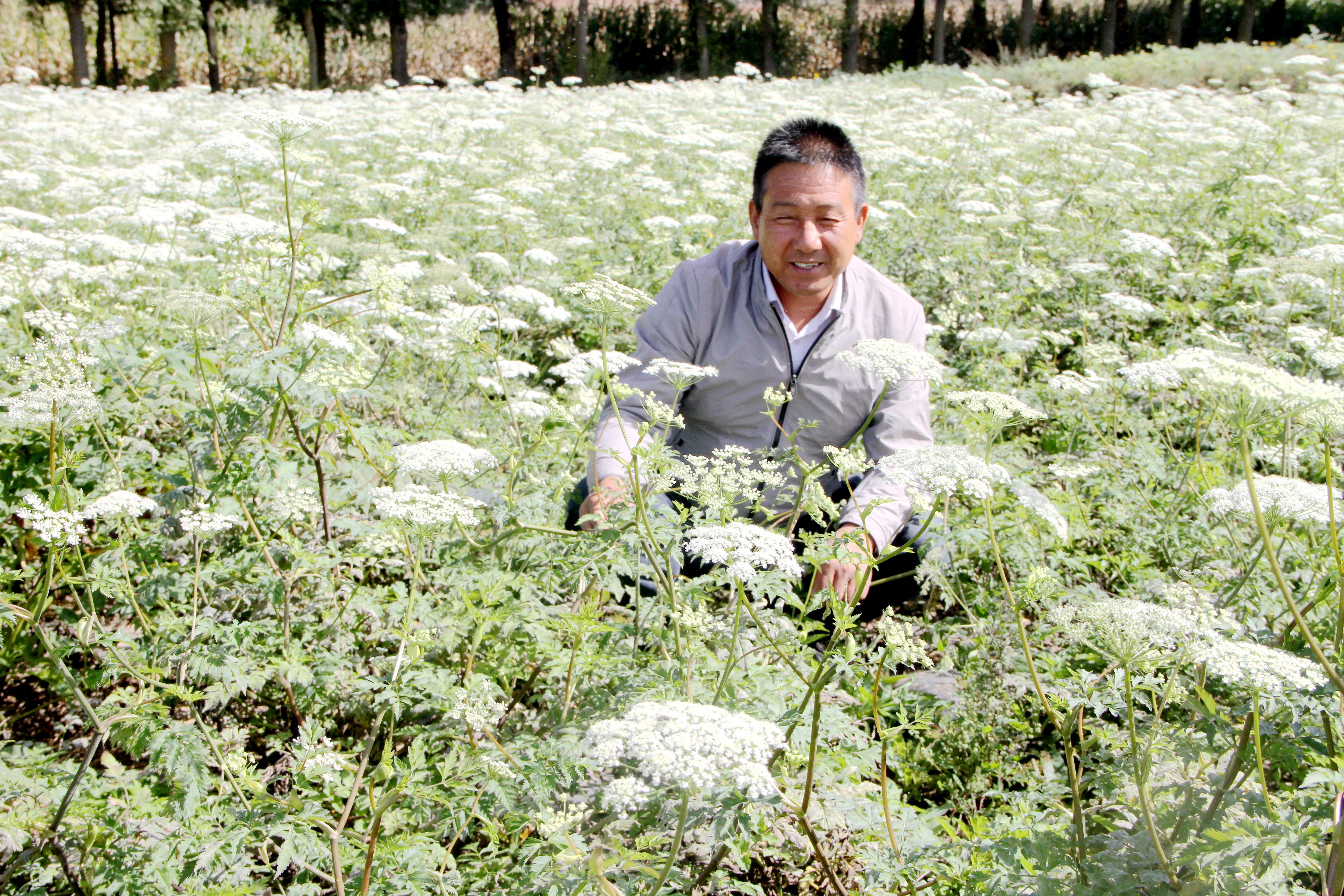 "煤海"扬帆打造工业样板　华亭双轮齐驱上半年成绩亮眼