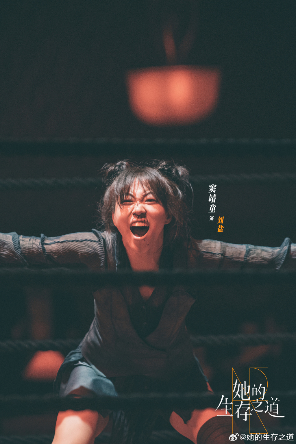 窦靖童 饰 刘盐