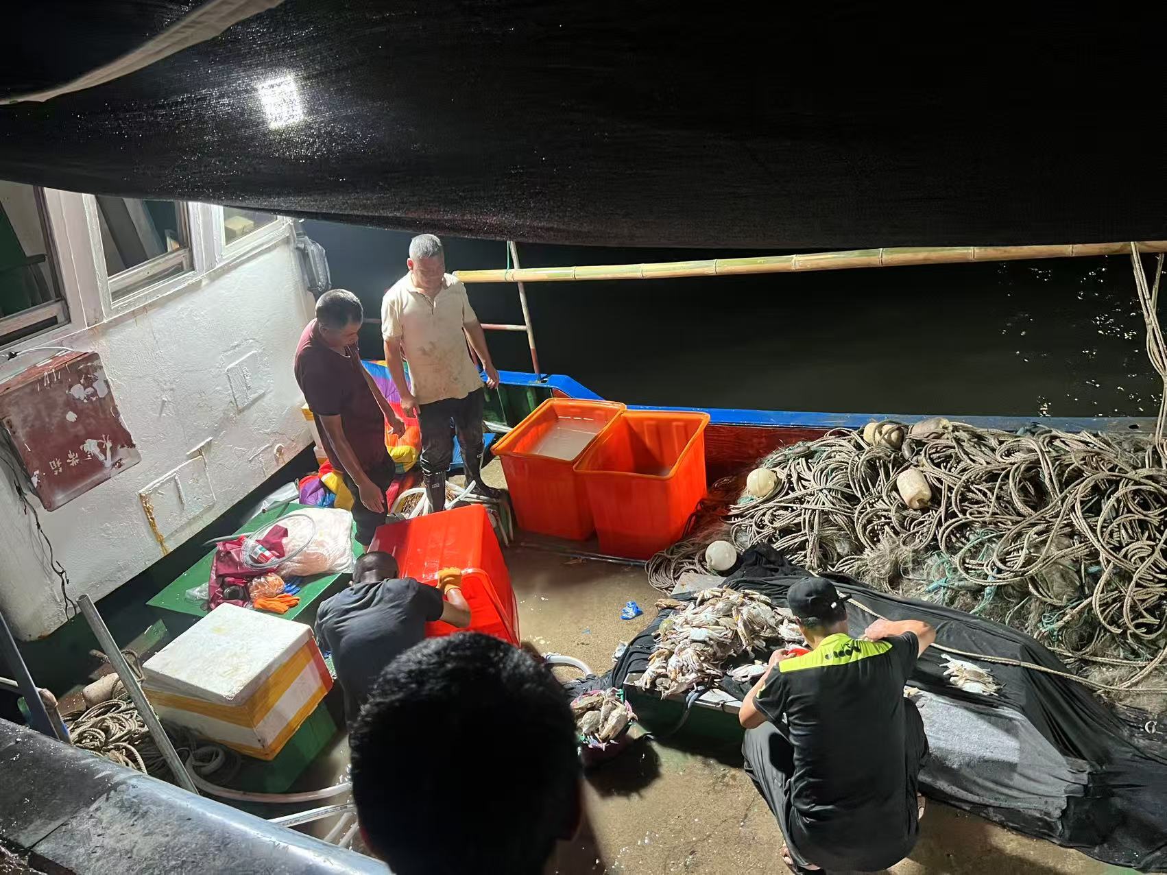 咸祥“第一网”抢 “鲜”上岸 东海特许捕捞首批渔获入市