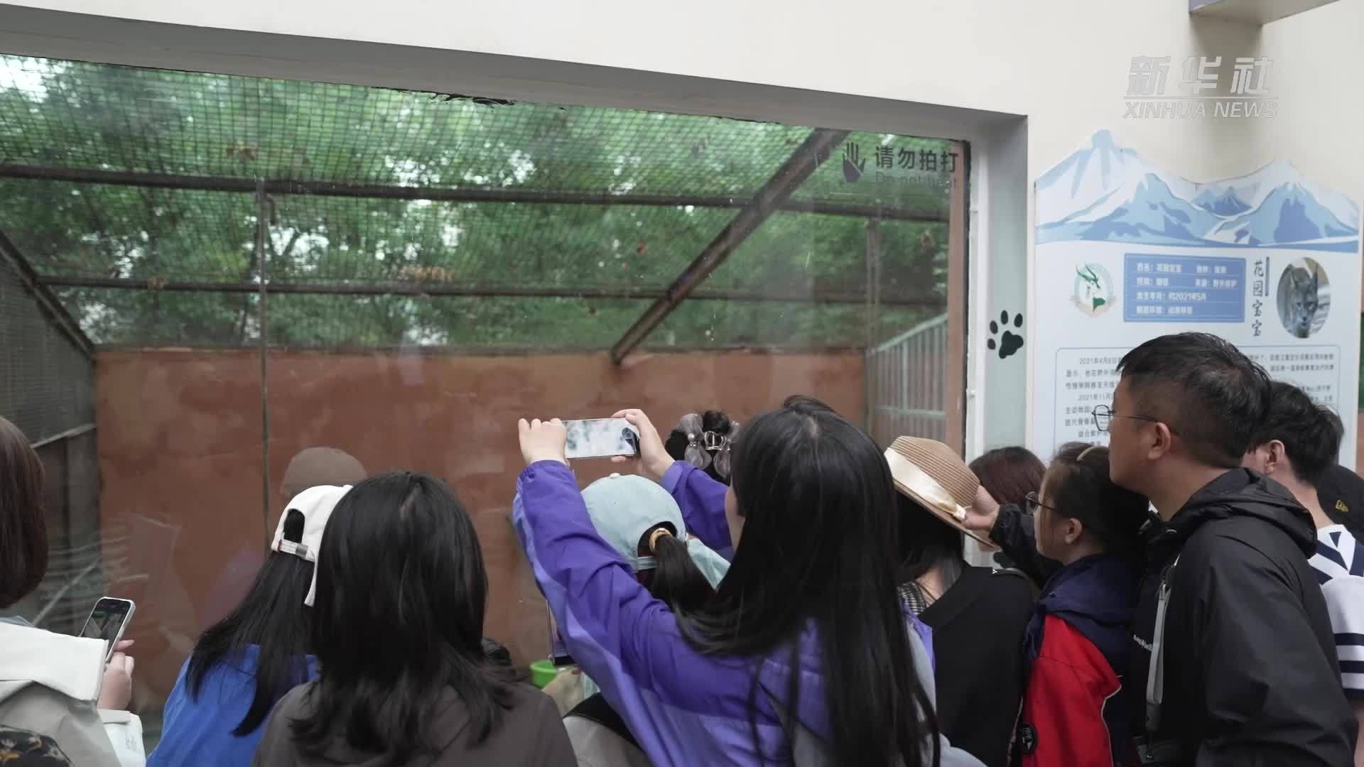 感知生态中国丨“圆掌”和他的“神奇动物”们