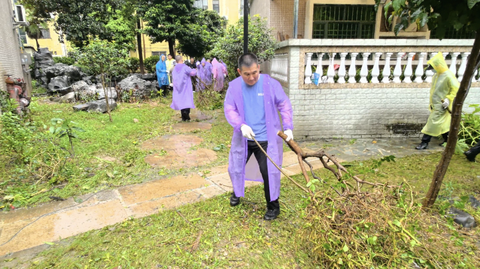 边检力量下沉社区!顺德边检站百人志愿队投身一线清除蚊媒孳生地