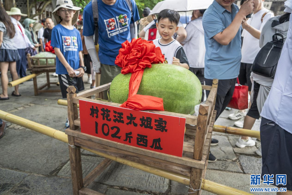 巨型瓜果“晒”出丰收喜悦。新华网发