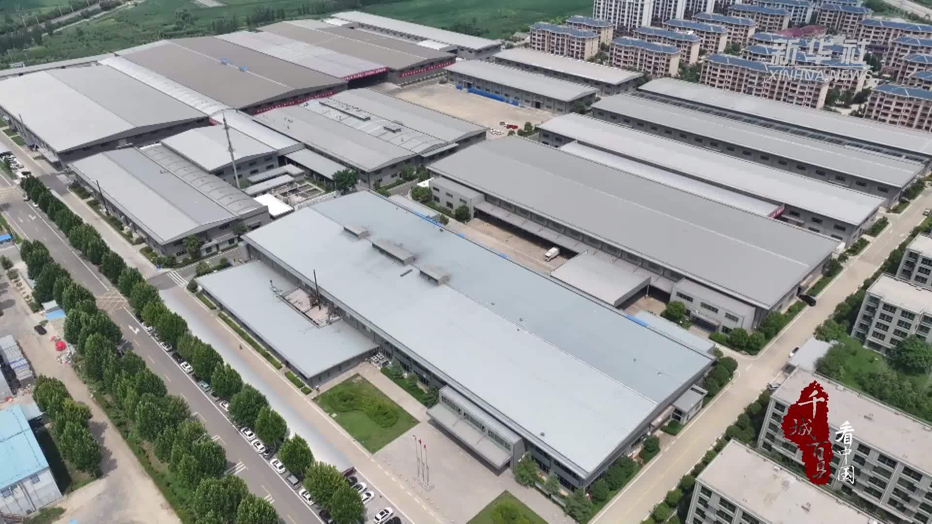 千城百县看中国丨山东定陶：手工塑国潮 糕点传匠心