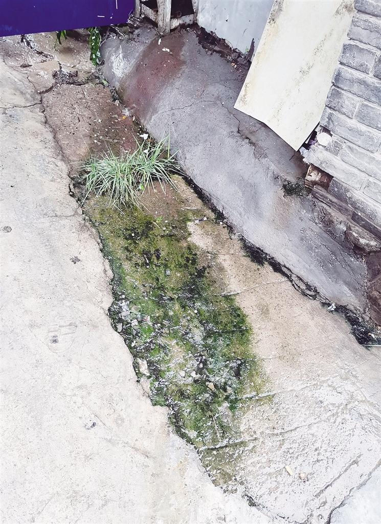 冷凝水滴落的地面已生出苔藓