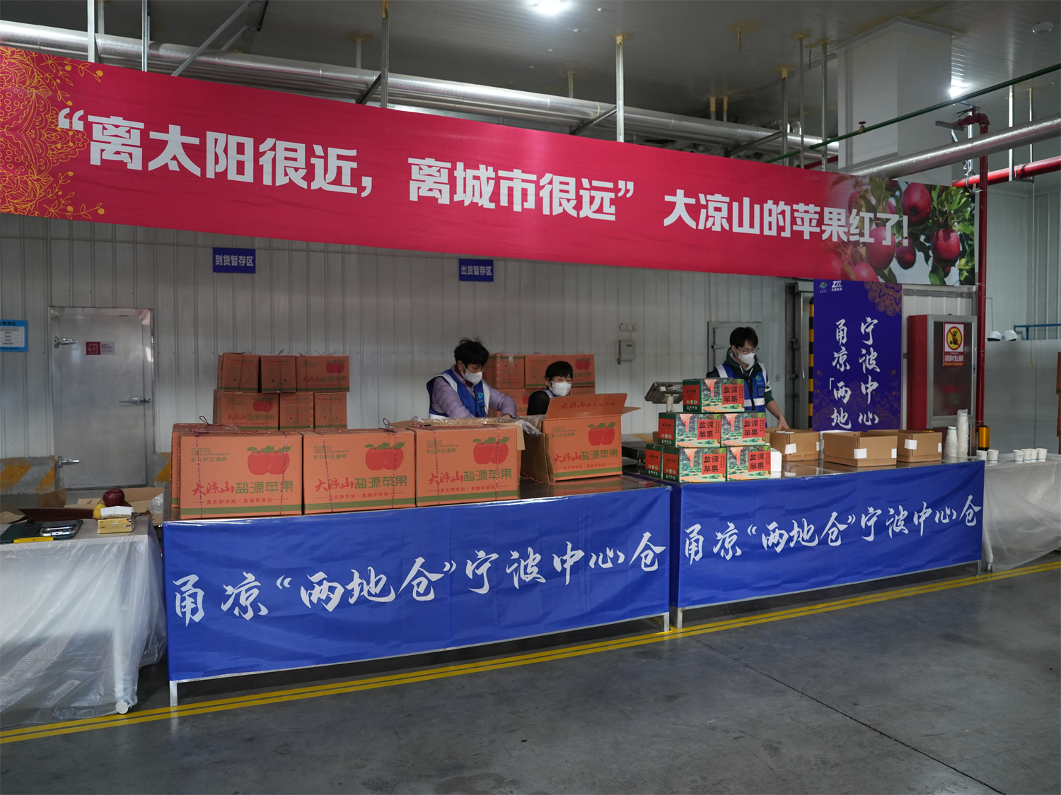 (宁波中心仓冷链货物分拣)