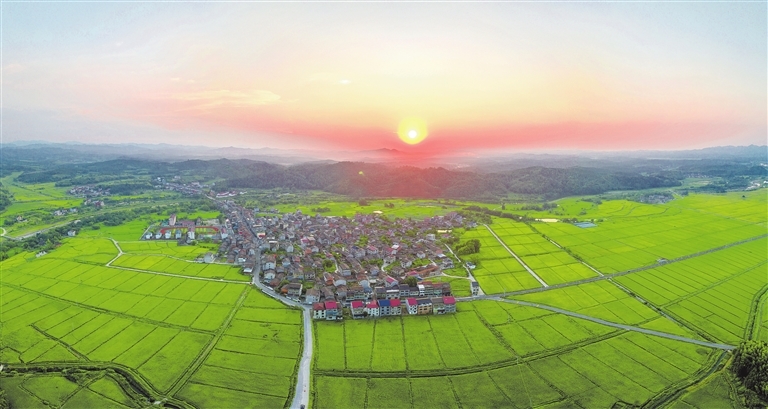 金溪县：优质早稻喜获丰收（图）