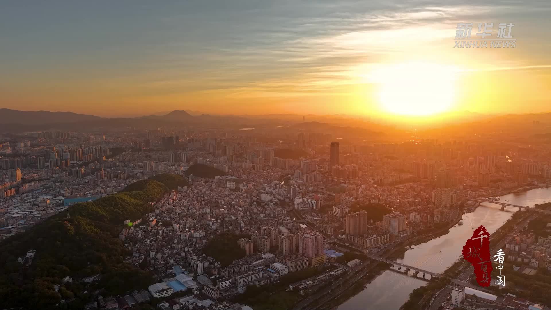 千城百县看中国丨广东虎门：立秋凉风至 禾黍盈满仓