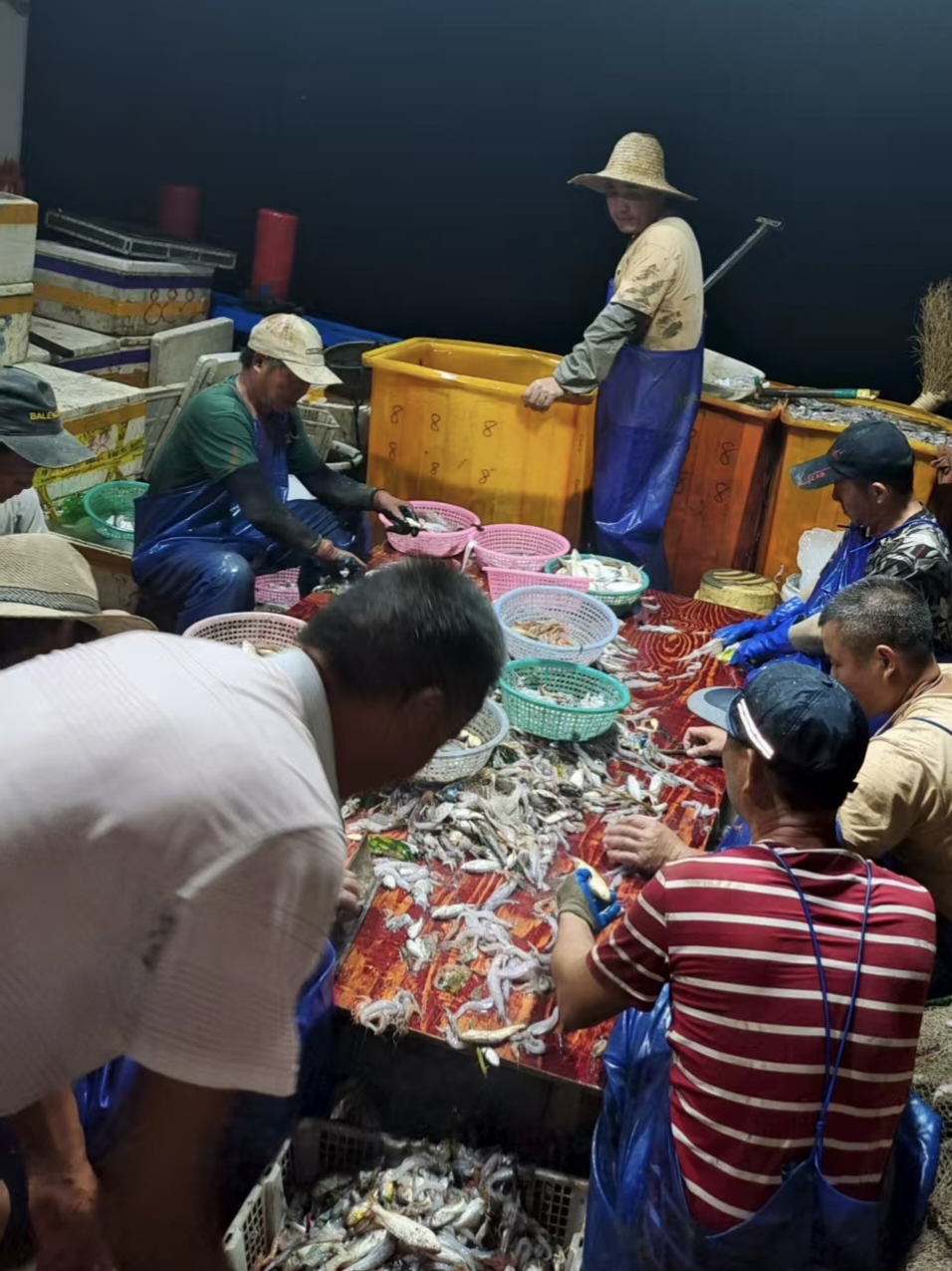 咸祥“第一网”抢 “鲜”上岸 东海特许捕捞首批渔获入市