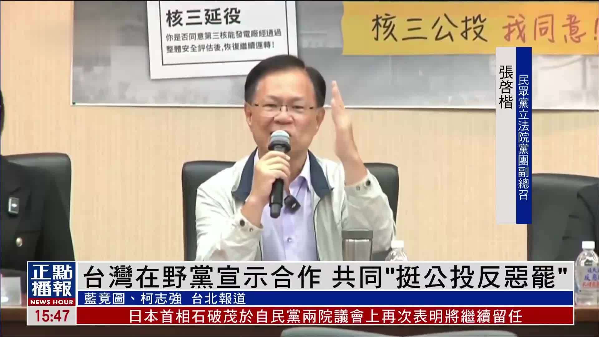 台湾在野党宣示合作 共同“挺公投反恶罢”