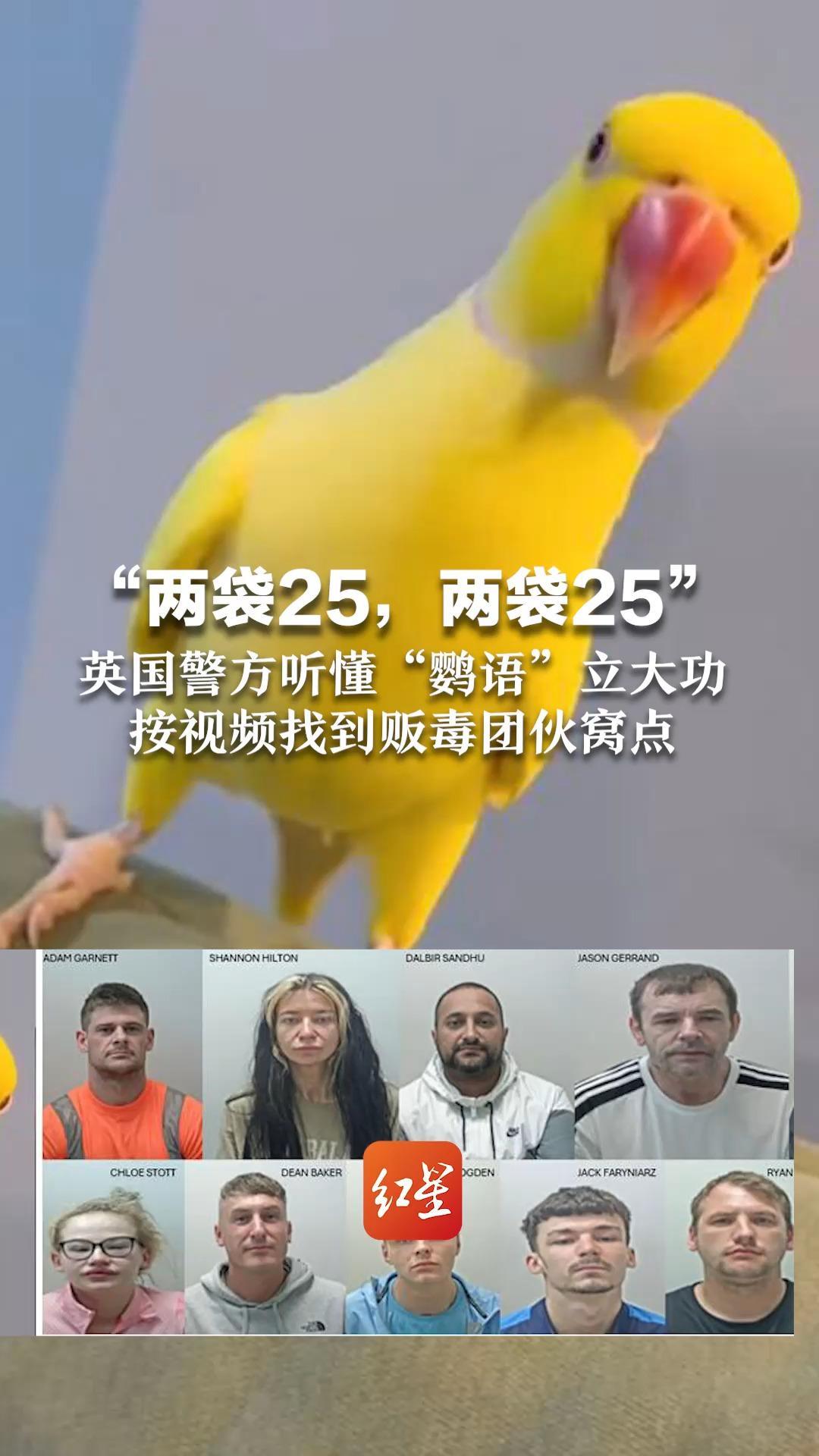 “两袋25，两袋25” 英国警方听懂“鹦语”立大功 按视频找到贩毒团伙窝点 15人认罪，刑期加起来共103年