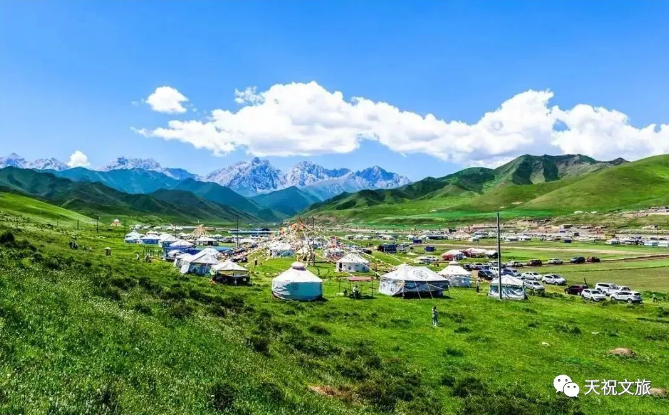 美好从不遥远　武威有自己的“呼伦贝尔”大草原