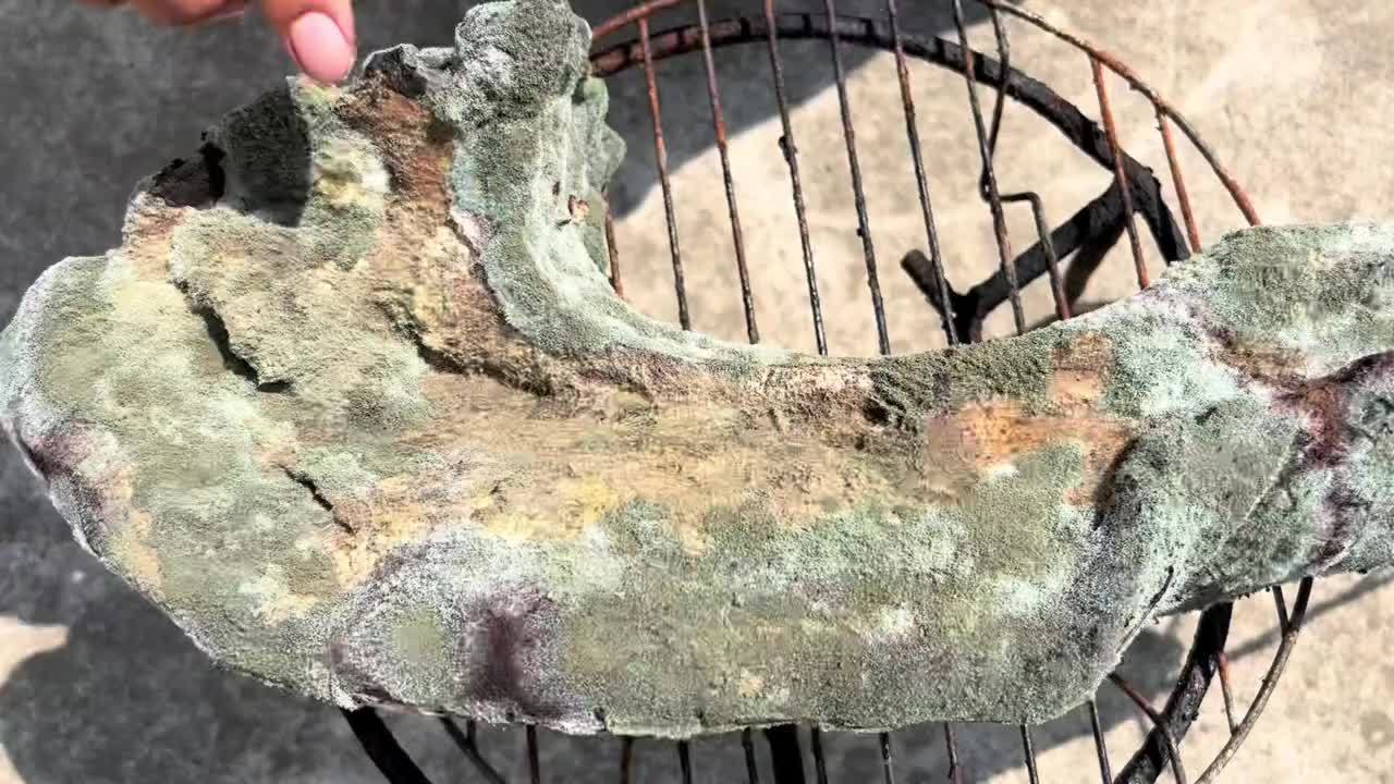 6年的老腊肉长满霉斑和包浆，用高压水枪暴力清洗，整个人都解脱了