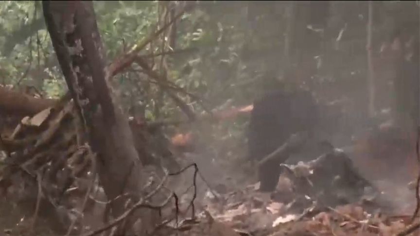 加纳一军用直升机坠毁，国防、环境部长在内8人全罹难