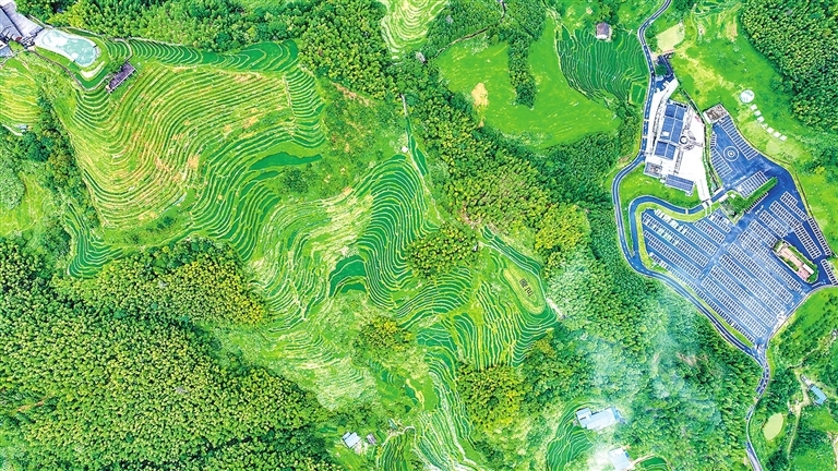 上堡梯田犹如“大地指纹”（图）