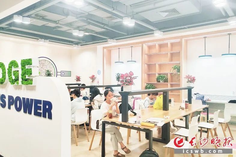 在东塘的一家培训机构,孩子们正在自主学习。 长沙晚报全媒体记者 舒元臻 实习生 徐琳 摄影报道