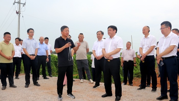 九江市林业重点工作上半年小结暨国有林场改革发展推进会召开