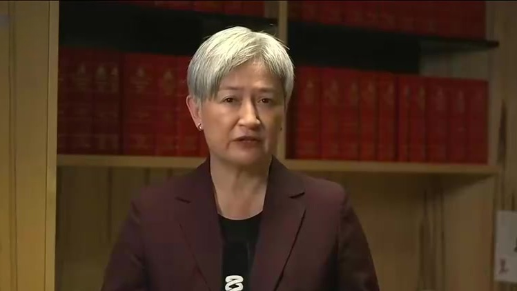 澳大利亚外长：两国方案是实现中东和平的最优解