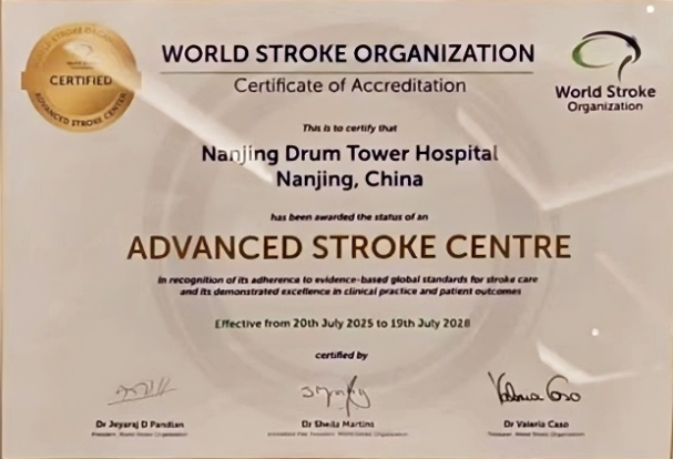 南京鼓楼医院获评中国首家国际高级卒中中心 卒中防治迈入国际先进行列