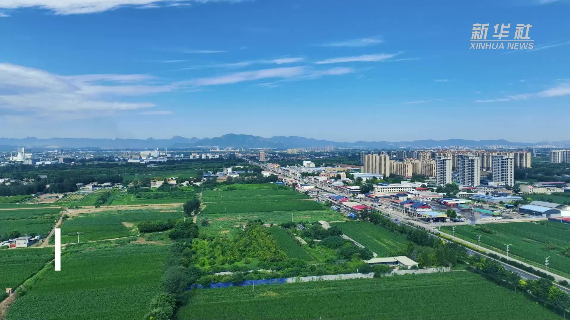 千城胜景｜河北栾城：红莲碧水映古桥