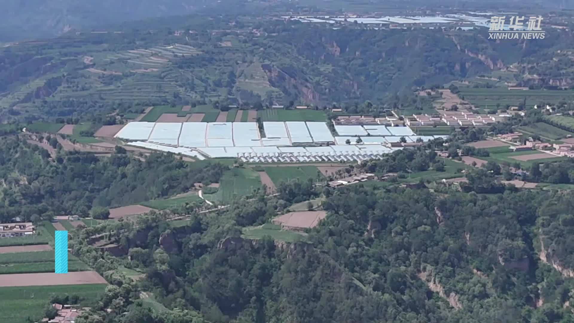 陕西长武：甜西瓜成为农民致富好产业