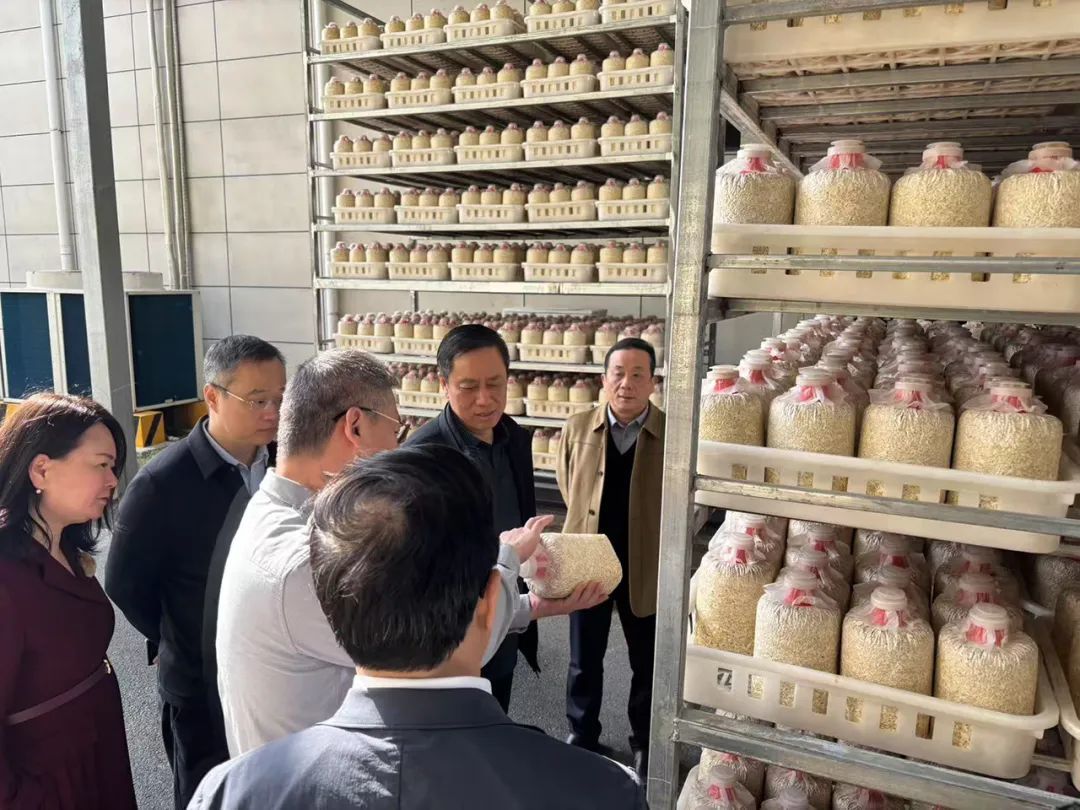 岳阳市政协组织委员赴岳阳县新开镇视察秸秆综合利用情况。