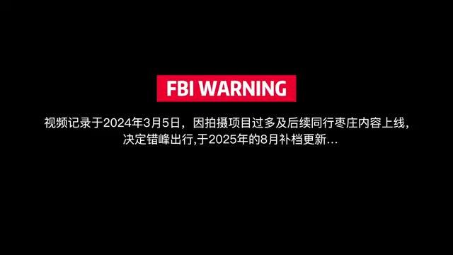 他一年买了3000+台车！看看中国最大的二手车集散地什么样