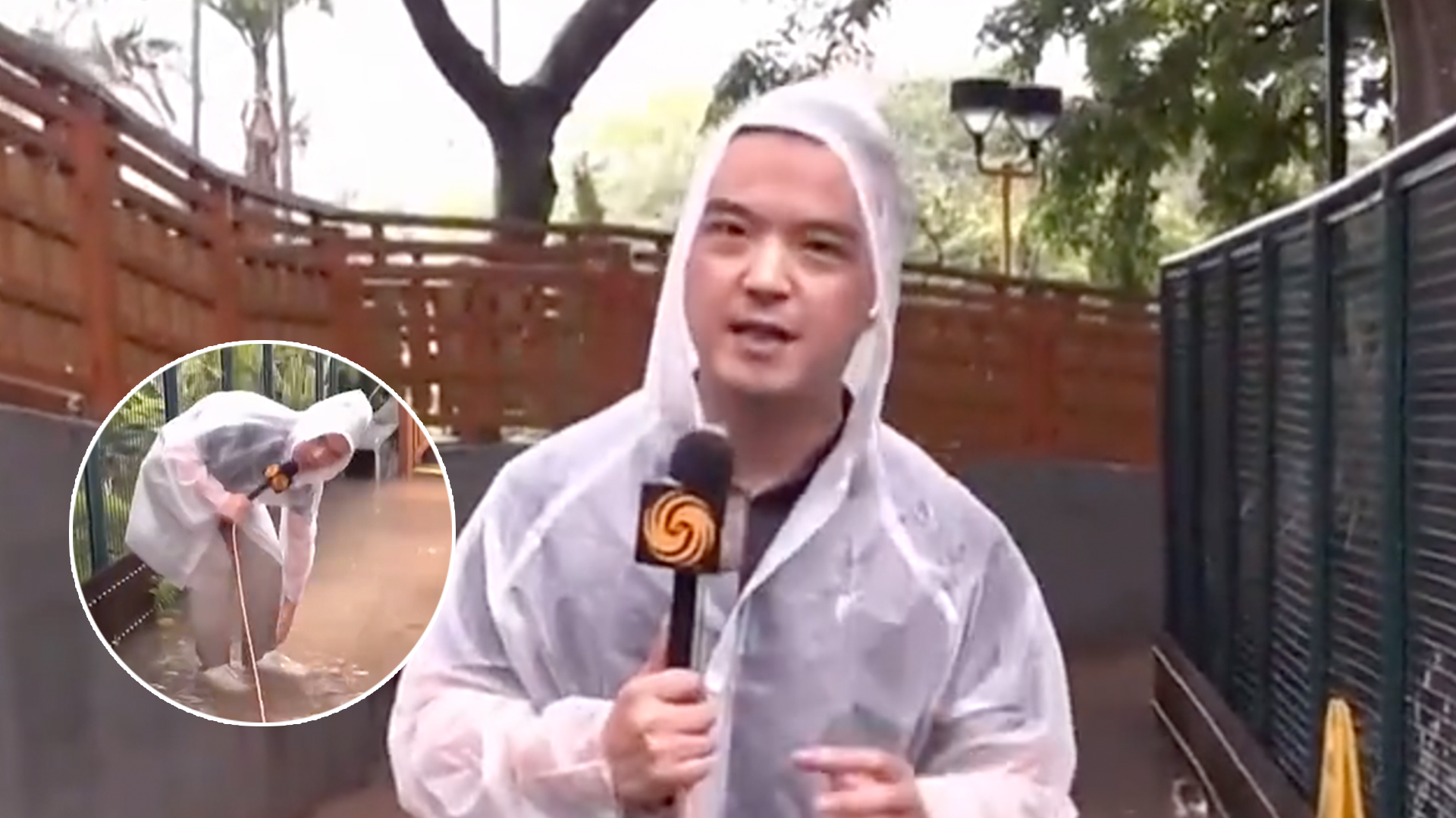 记者连线｜黑雨实测！记者直击油麻地公园最深水位“直逼小腿”