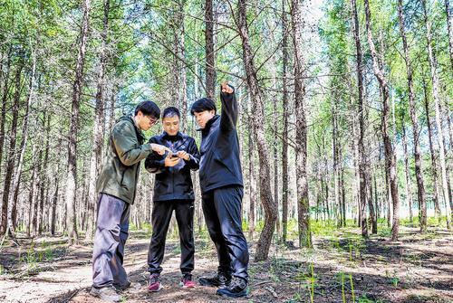 7月22日,李森浩(左一)、韩谨泽(右一)和塞罕坝机械林场的工作人员在林中做野生动物样线调查。 本报记者 李佳泽摄