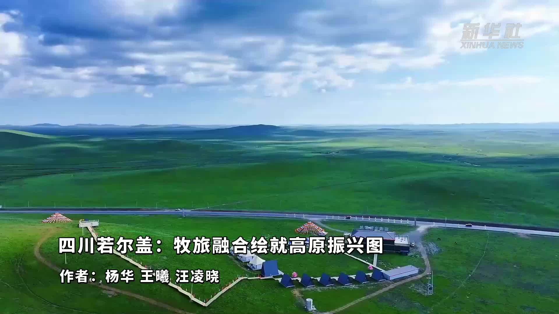 四川若尔盖：牧旅融合绘就高原振兴图