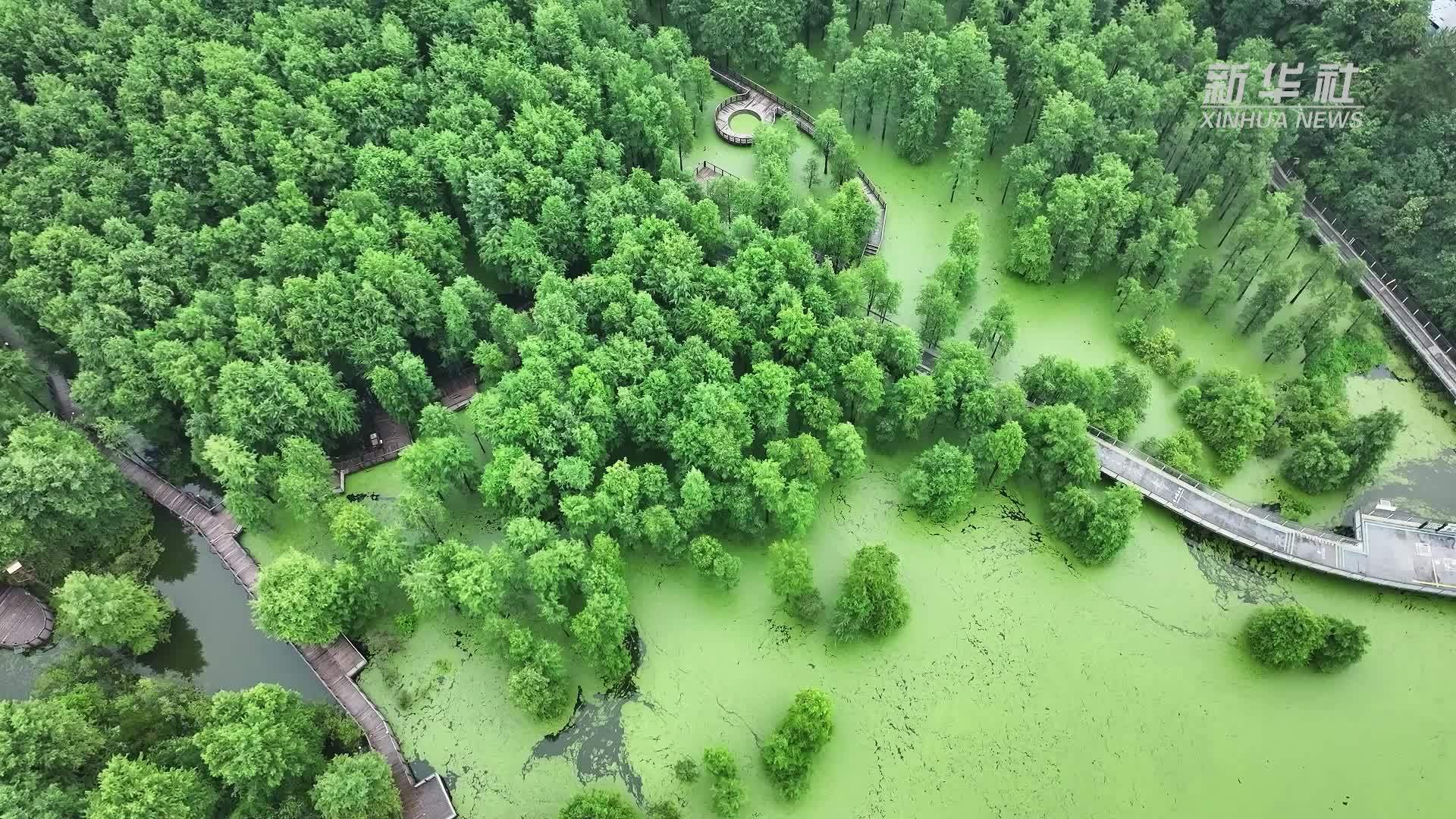 杭州青山湖：湖光山色间的诗意与浪漫