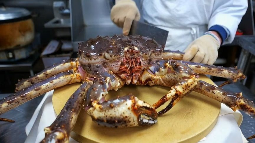 巨型帝王蟹，一蟹多吃，看得你流口水，肉质太鲜美了