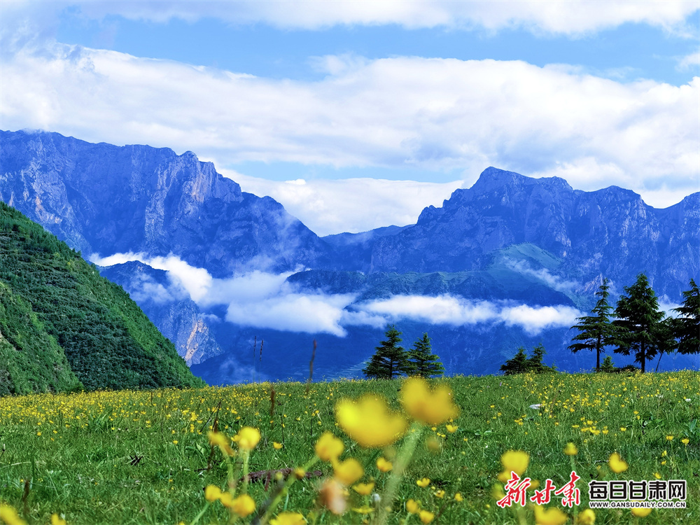 陇原暑期热力满格