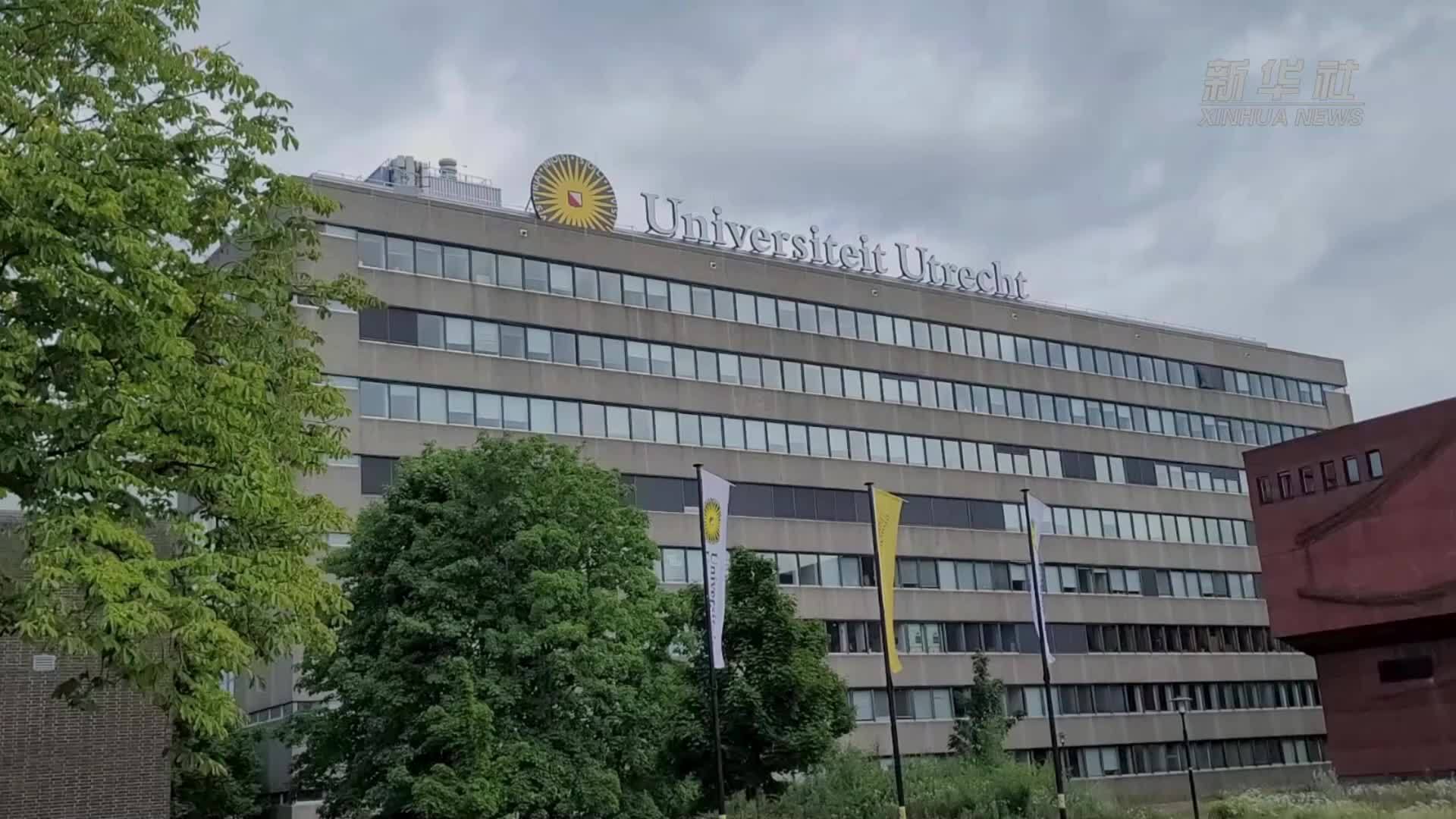 荷兰皇家艺术科学院院士：在中国的交流经历让我获益良多