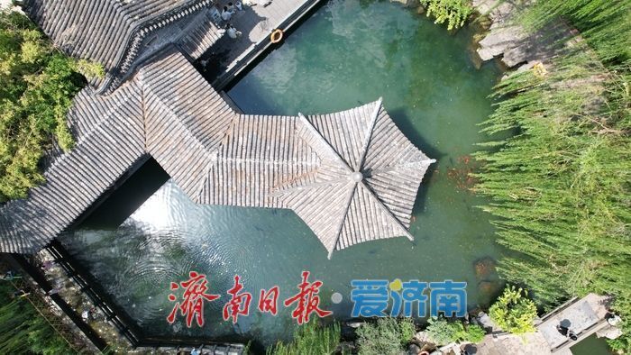 一年四季 泉在济南｜夏秋交替 泉景醉游人