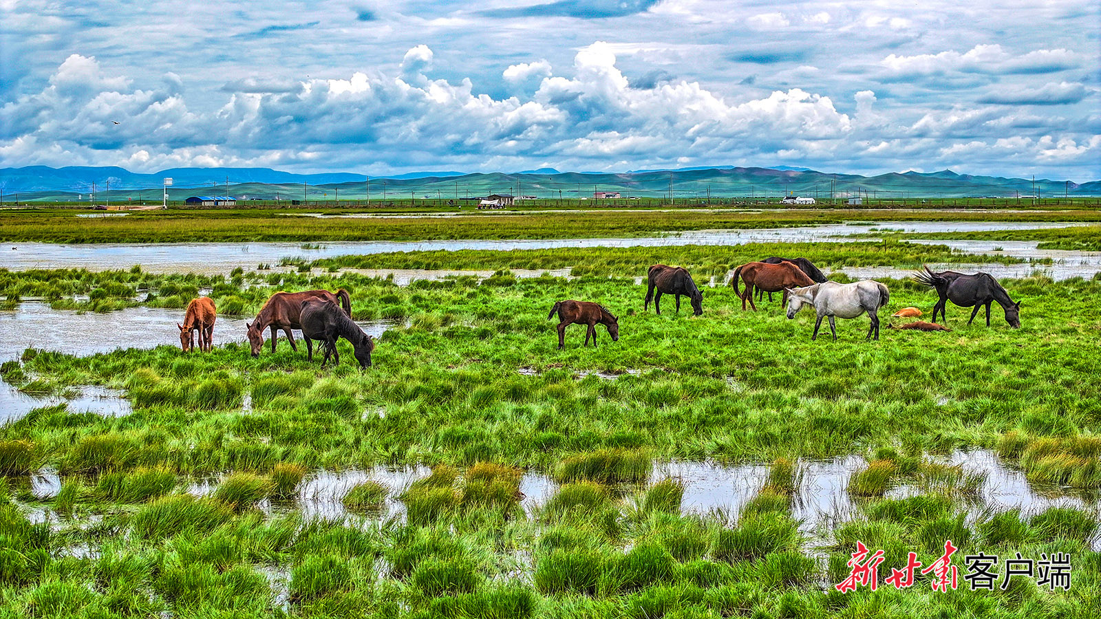 陇原暑期热力满格