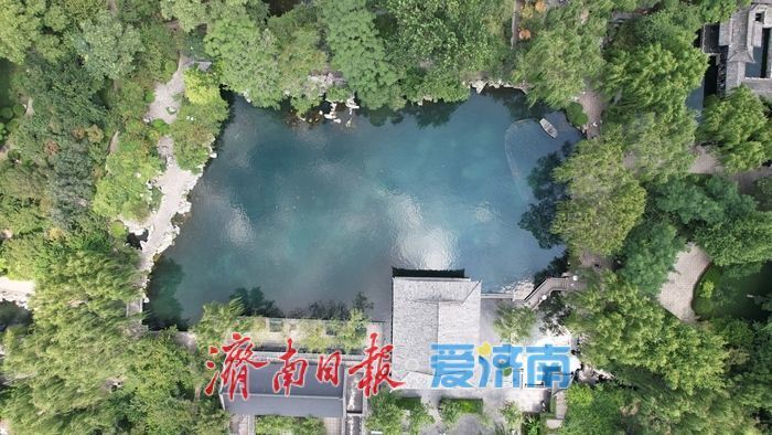 一年四季 泉在济南｜夏秋交替 泉景醉游人