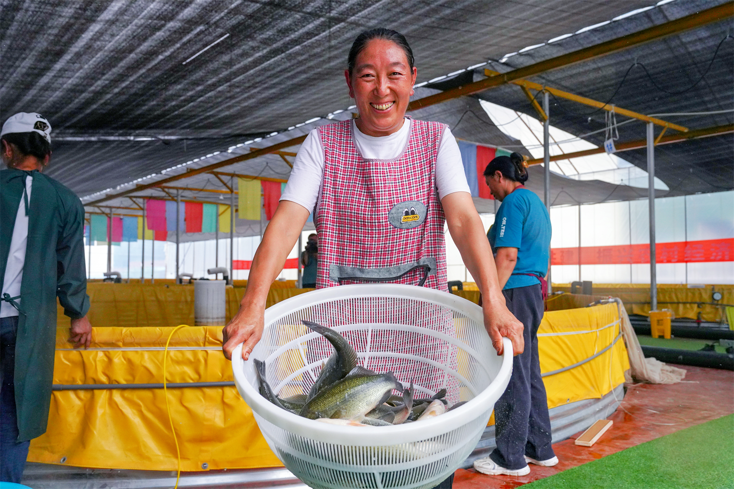 甘洛县的鲈鱼养殖场