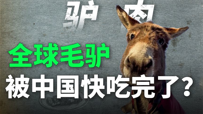 全世界的毛驴，快被中国人吃光了吗？