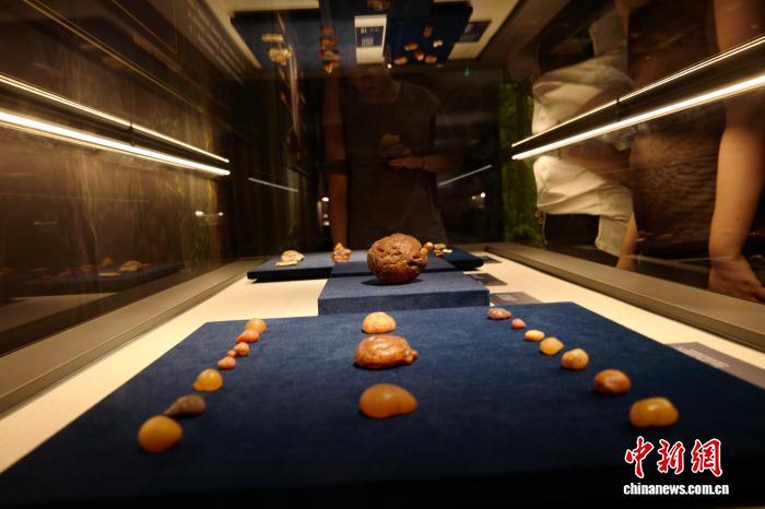 河南郑州：波兰琥珀文化艺术展吸引游人