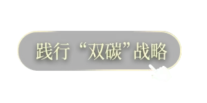 按钮背景图
