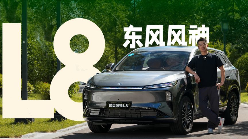 真香平替，一半预算也能体验L8的质感？