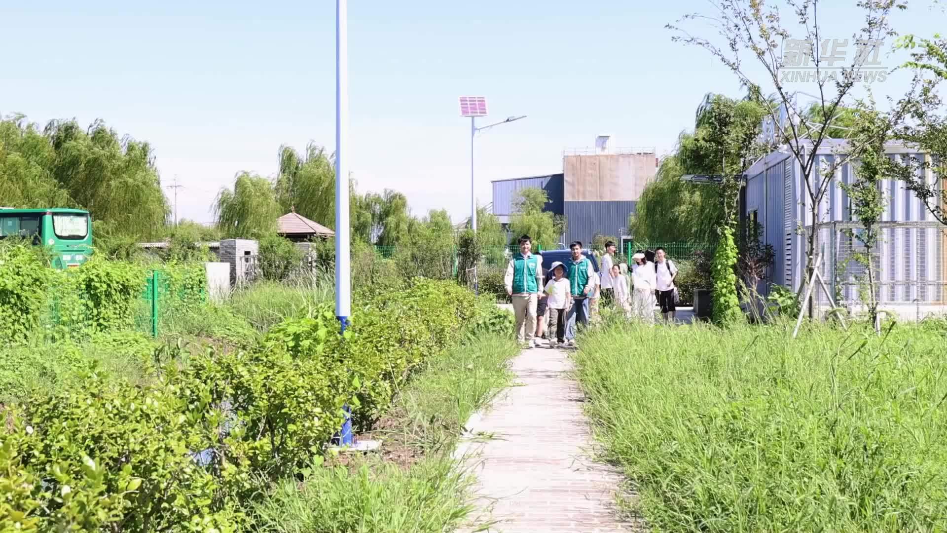 江苏扬州：青少年暑期学“护鹳”