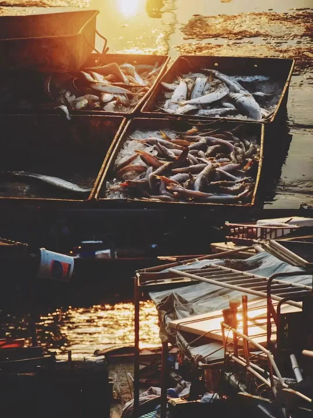 浙江文旅资讯&copy;兴Gstar