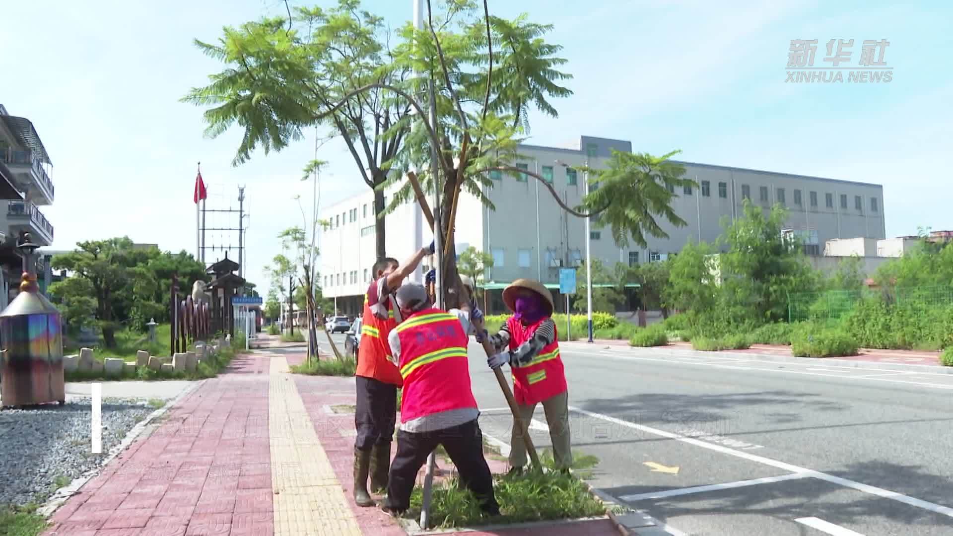 福建东山：加强城区设施排查 全力应对台风“杨柳”