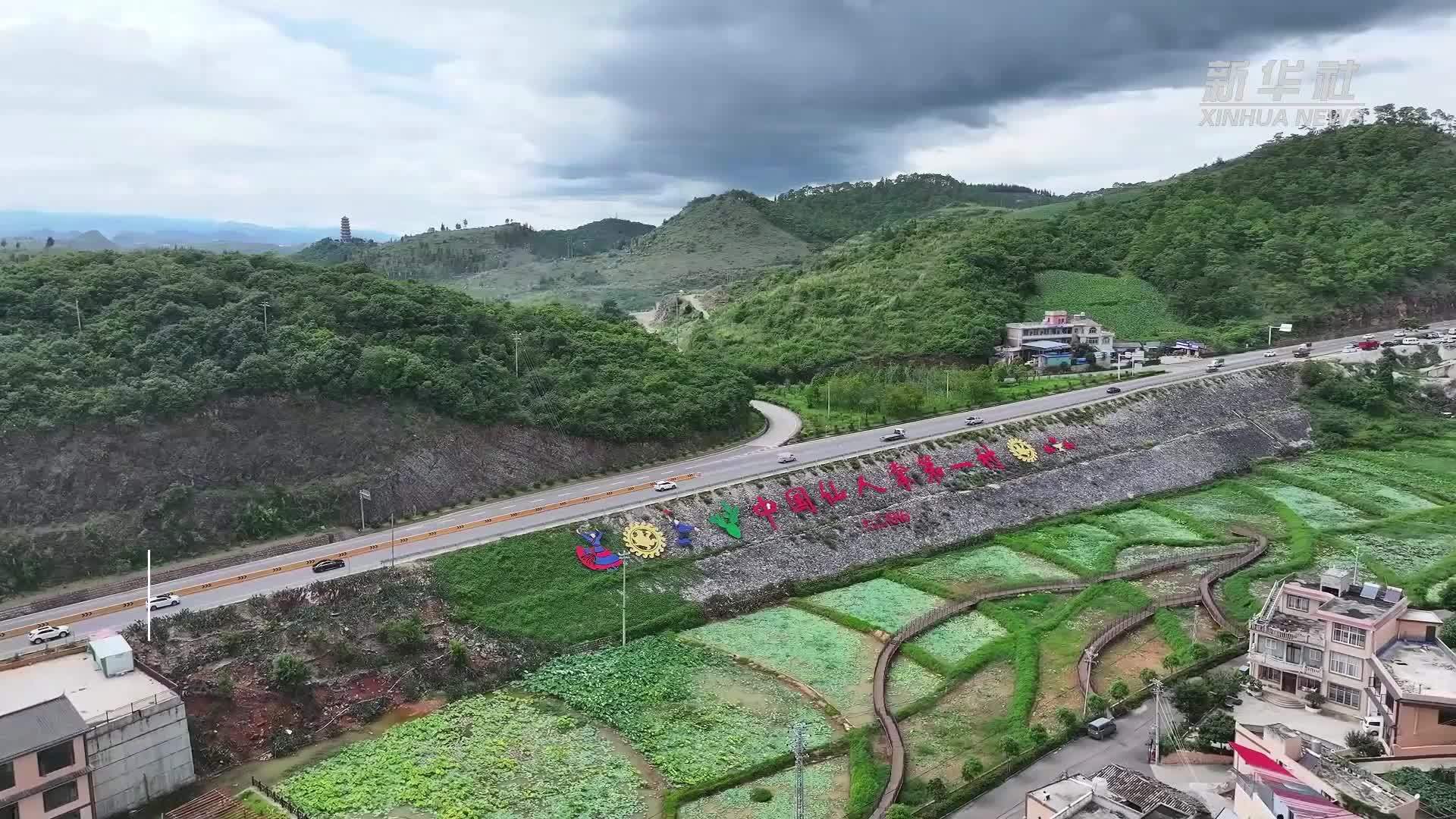 他们回到荒山 在石缝里种下“春天”