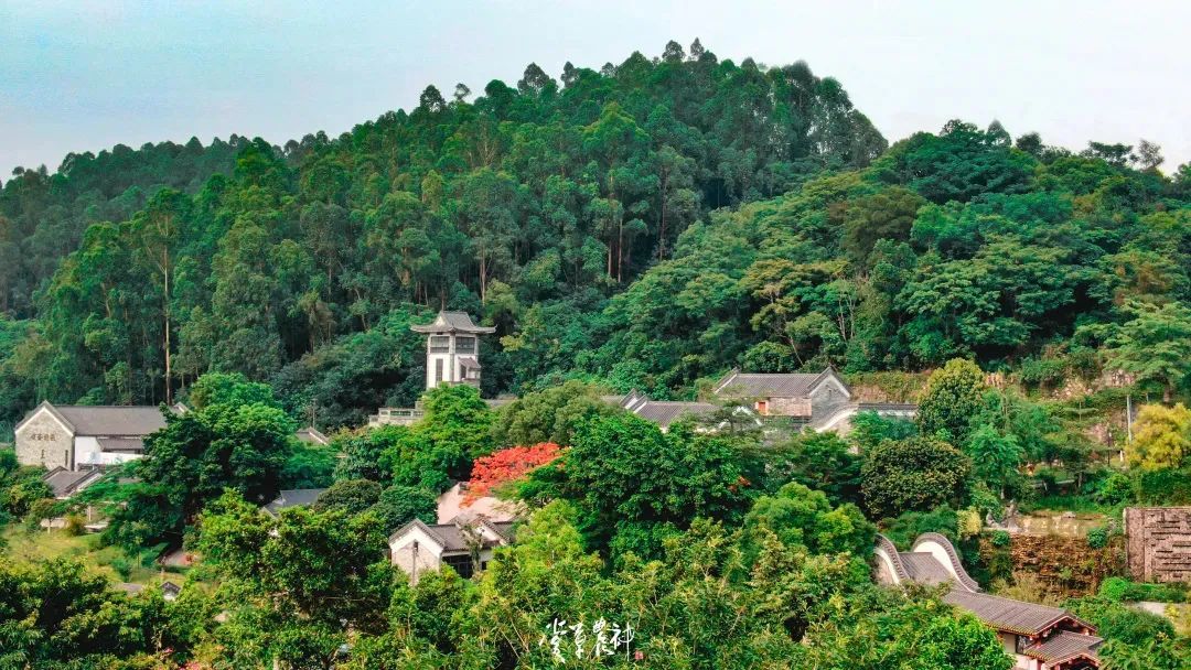 广州神农草堂中医药博物馆，大隐于市的“岭南园林”。图/广药白云山