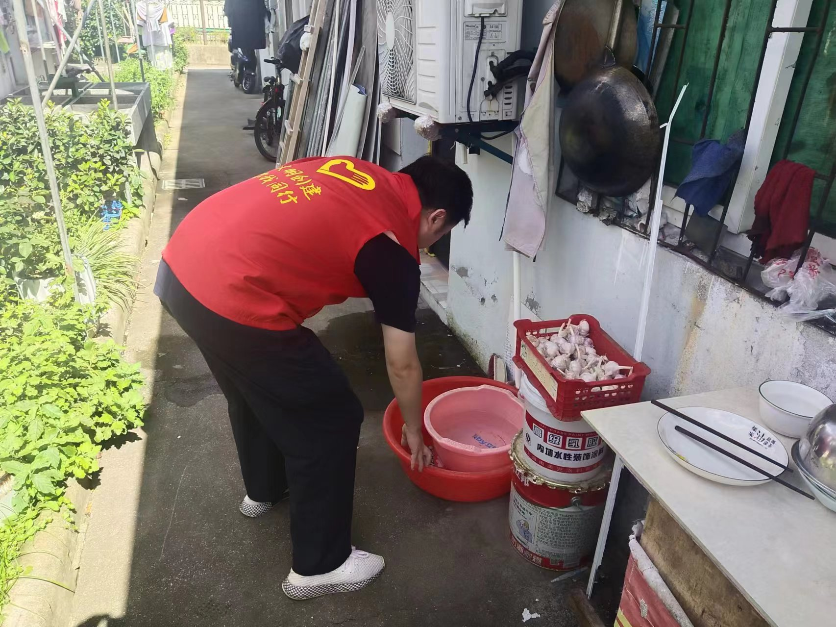 江北梅堰社区多措并举筑牢基孔肯雅热“防火墙”