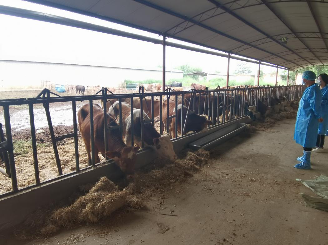 调配专用饲草料