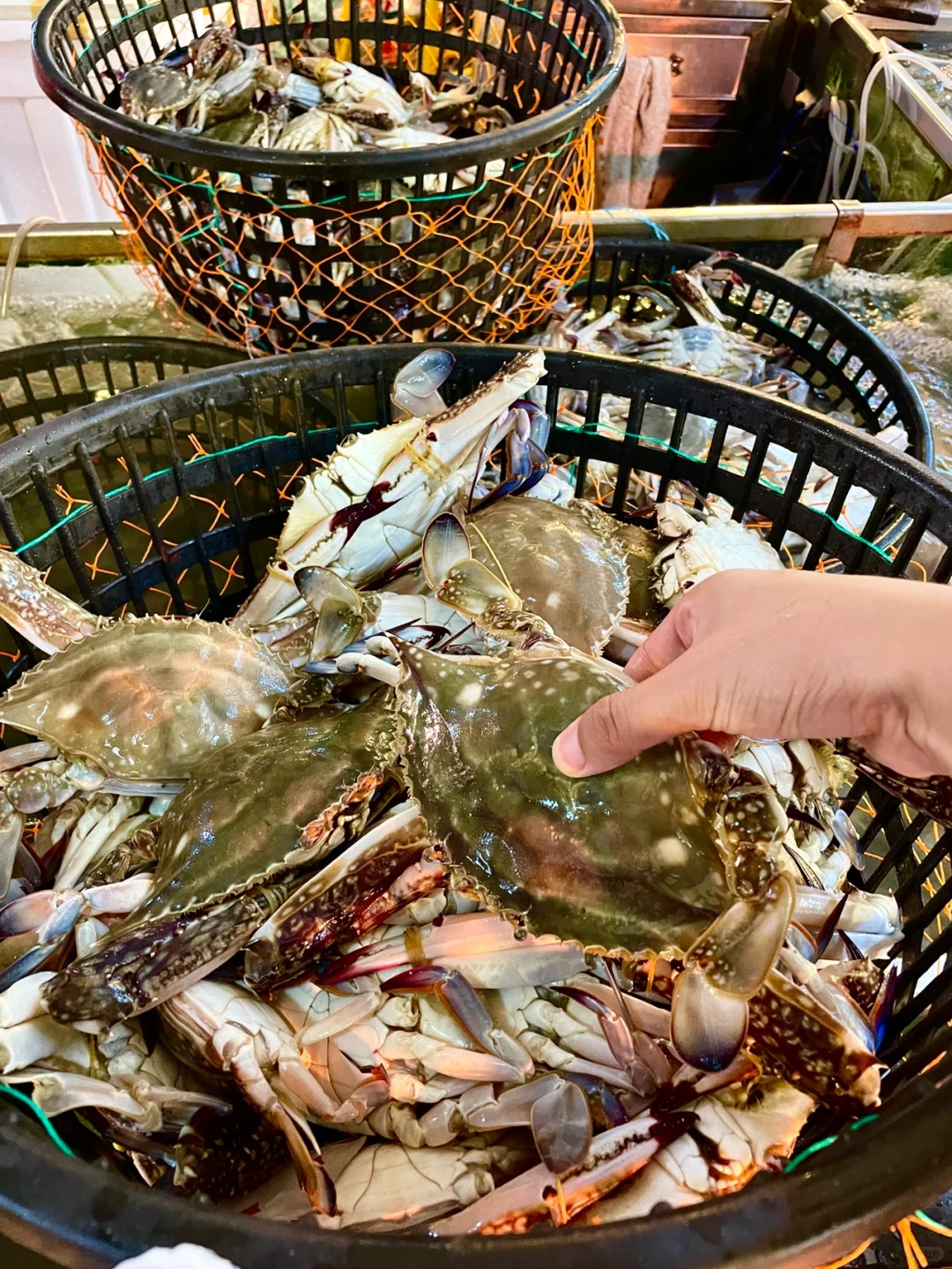 @浙江文旅资讯