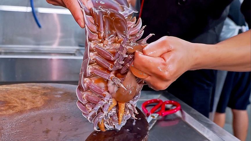 酷似蟑螂的大王具足虫，其貌不扬，味道却无比鲜甜可口